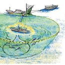 명성참치 이미지