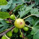 (주)더좋은날 이미지