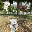 오미네커피 이미지