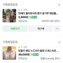 마이단골627 | W8. 비포원 스튜디오 촬영 후기 / 최기용 작가님