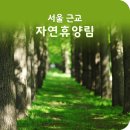 서울 근교 자연휴양림, 유명산자연휴양림 vs 강씨봉자연휴양림 이미지