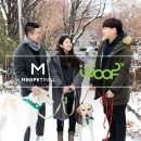 미니펫강아지고양이 - 성동구 성덕정길 96-1 | 미니펫강아지고양이