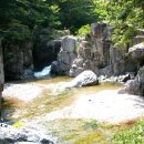 숲속의사랑별 이미지