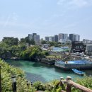 제주 공항 근처 바다뷰 카페 추천 용연 구름다리 주변 제주의 별 내돈내산 후기