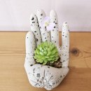 친환경 식물로 소품만들기 이미지