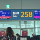 OZ545 아시아나 프라하 직항 탑승 후기(20260423)