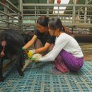 자매하우스민박 이미지