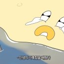 이스텔라별헤어살롱