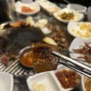 맘모스껍데기 이미지