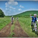 올레목장 이미지