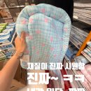 이마트 의왕점 | 다이소 강아지 냉감패드 후기! 이마트 의왕점 다이소 반려동물코너 쇼핑🐶💙