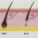벨로왁싱 네이버블로그