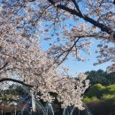 송은영유반외과의원 이미지