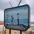 영진 자연건강 이미지