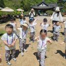사랑유치원 | 경기유아숲체험 명소, 양주 우리들 자연학교에서 즐긴 오감만족 생생 후기