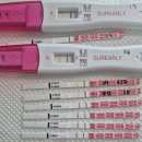 선일수지 | 깨꾹아 반가워/임신일기 1. 임신확인~6w