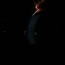 로얄동물병원 이미지