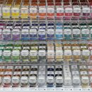 썬라인즈 이미지