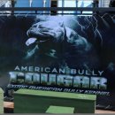 챔피언켄넬 이미지