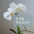 토요일 이미지