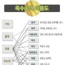 GMO(유전자조작생물체)의 위험성과 인간의 욕심 이미지