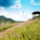 대황강 자연휴식공원 이미지