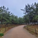 다대포해수욕장역 이미지