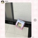 멍개식당 | 강아지 생일 커스텀 케이크 [멍개식당 강아지 케이크] 양주, 의정부 픽업 배달 가능