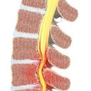 이립마취통증의학과의원 이미지