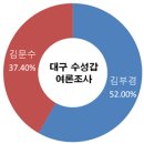 [20대 총선여론조사] 김부겸, 대구의 강남 수성갑서 김문수에 우위 이미지