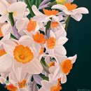 [전시] 안기현 서양화展...'꽃'들의 아름다운 질서 이미지