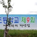 위림초교 이미지