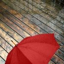 빨간우산 이미지