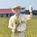 죽산시장 | 김제 죽산 막걸리 판매처 가격 특징 후기