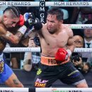 복싱아레나 이미지