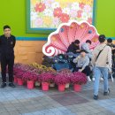 다다예술학교 이미지