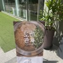 코코호도상무점 | [오늘 뭐먹지] 상무지구 솔솥 / 상무지구 밥집 / 광주 상무지구 솥밥 /스테이크 솥밥 /꼬막 솥밥