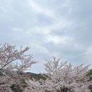 (주)오토스마일 이미지