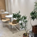 부산진중학교 | 부산 시민공원 러닝 커피, 힛커피하우스 (L.O 21시)