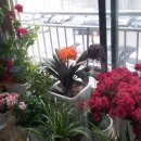 한일병원(1F) 이미지