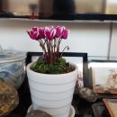 석란정펜션 이미지