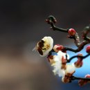 지리산털보농원 이미지