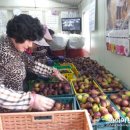 박진수농장 이미지