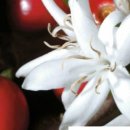 13월의 태양 이미지