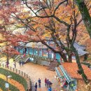 부소산성 서복사지 이미지