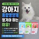 고려종합유통 | 강아지 종합영양제 나이별로 챙기는 이유? 프롬더셀...영양제 노령견 관절 면역 영양제 노견 항산화제 후기