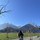 융프라우 | [4. 신혼여행_스위스] 스위스 여행 필수 코스! 융프라우 후기 (날씨 웹캠 &amp; 필수 준비물 정리)