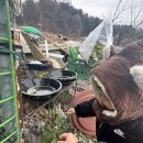 진건오남로797번길21-15 이미지