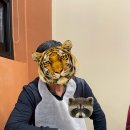 깜돌 흑돼지 이미지