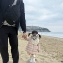 월정교 화장실 | 경주,대구] 2026.03.30~2026.04.03. 해운대, 해동용궁사, 경주 우엉김밥, 첨성대 미디어아트, 월정교 야경